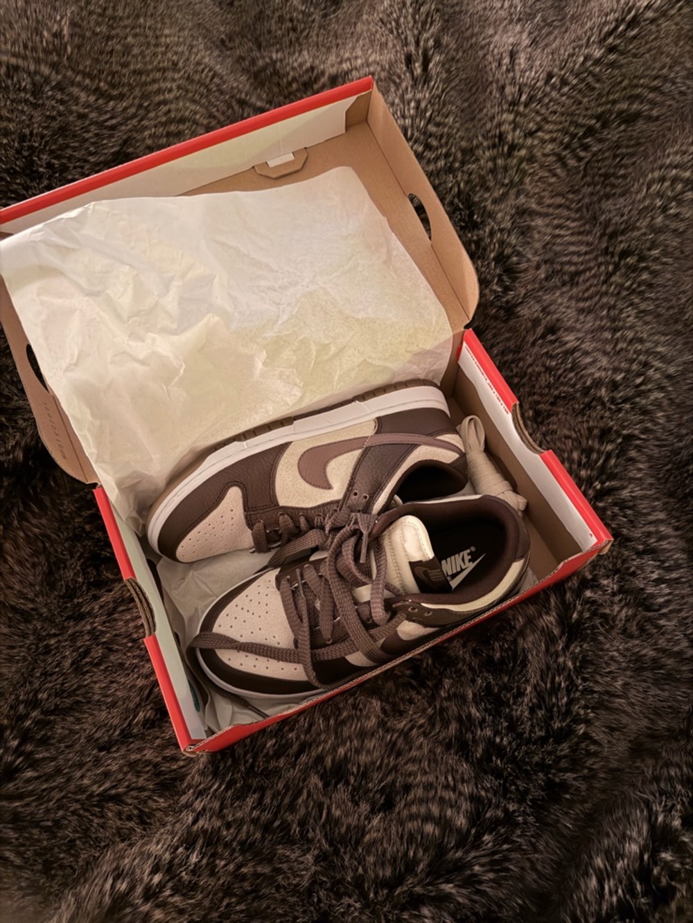Nike Dunk Low Plum Eclipse Low-Top Sneakers in Brown and Cream Two-Tone